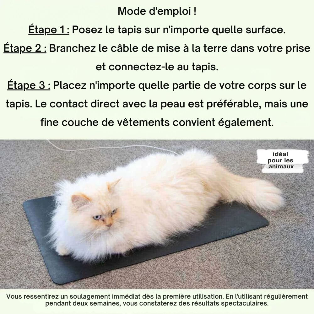 Tapis de mise à la terre
