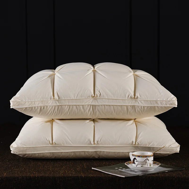 Oreiller de luxe en duvet