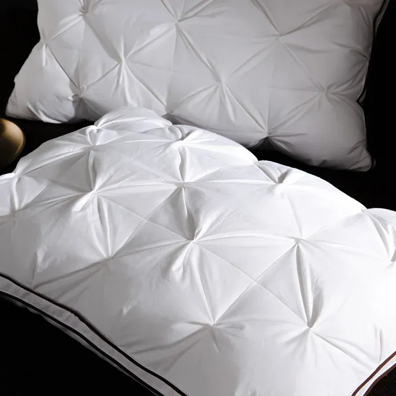 Oreiller de luxe en duvet