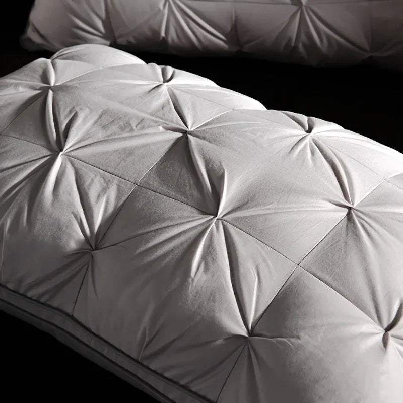 Oreiller de luxe en duvet