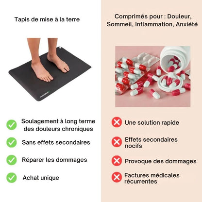 Tapis de mise à la terre