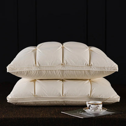 Oreiller de luxe en duvet