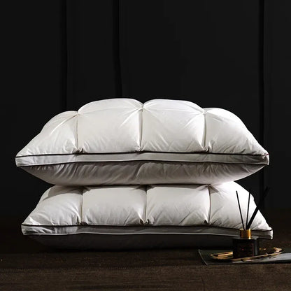 Oreiller de luxe en duvet