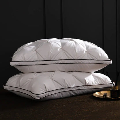 Oreiller de luxe en duvet