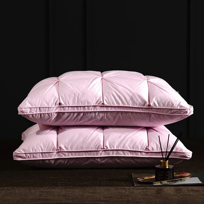 Oreiller de luxe en duvet