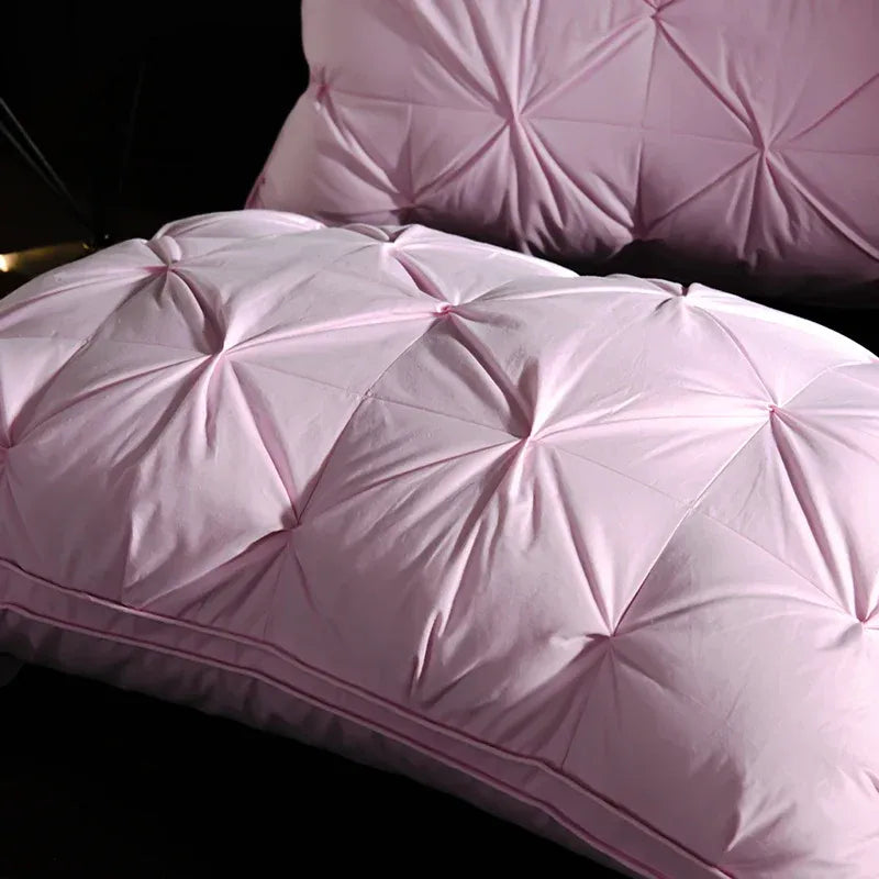 Oreiller de luxe en duvet