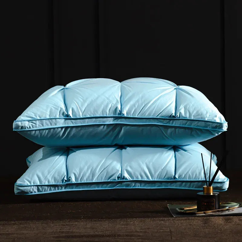 Oreiller de luxe en duvet
