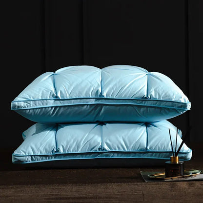 Oreiller de luxe en duvet