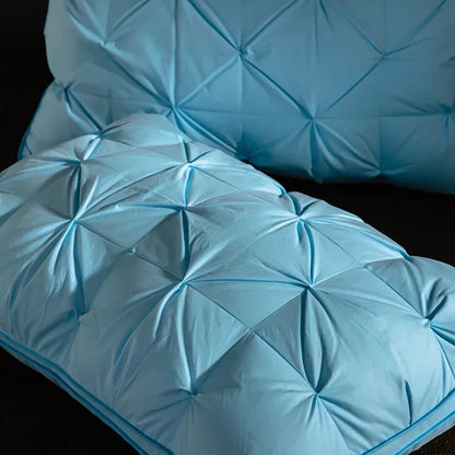 Oreiller de luxe en duvet