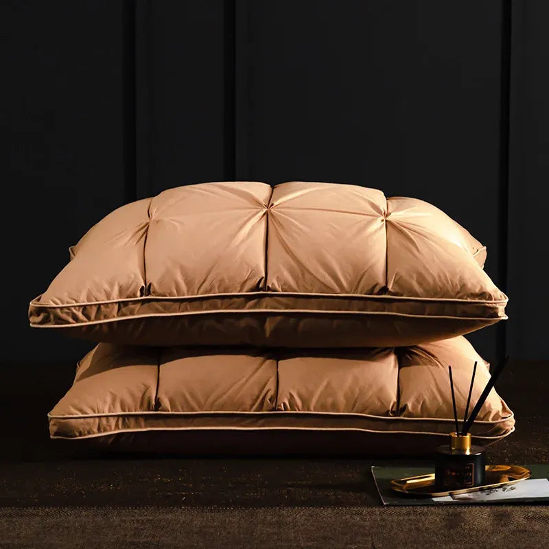 Oreiller de luxe en duvet