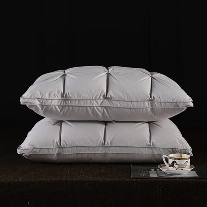 Oreiller de luxe en duvet