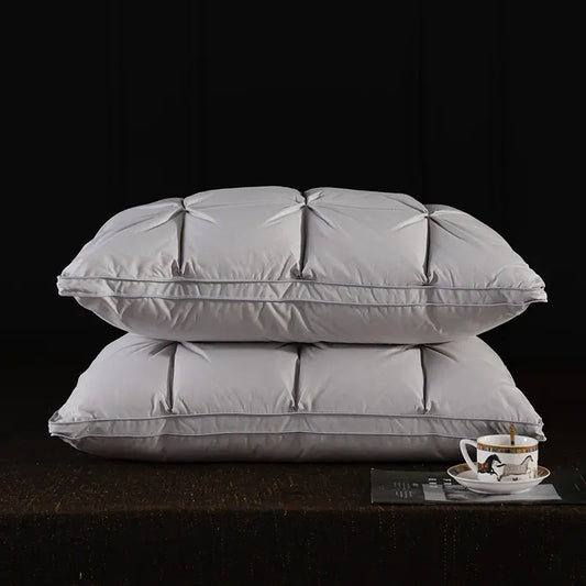 Oreiller de luxe en duvet